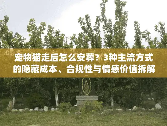 宠物猫走后怎么安葬？3种主流方式的隐藏成本、合规性与情感价值拆解