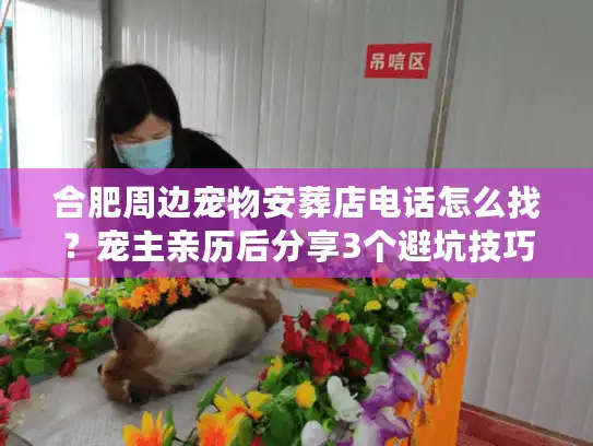 合肥周边宠物安葬店电话怎么找？宠主亲历后分享3个避坑技巧+真实机构清单
