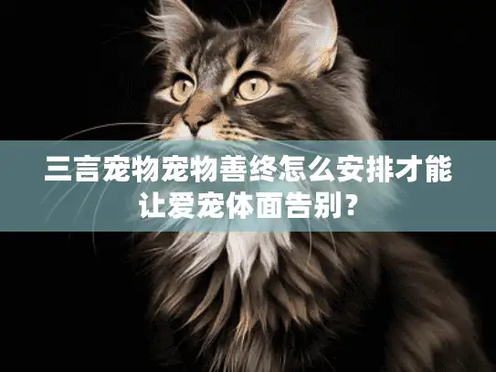 三言宠物宠物善终怎么安排才能让爱宠体面告别？