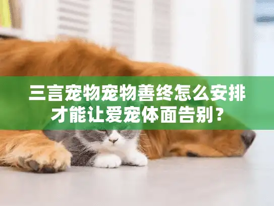 三言宠物宠物善终怎么安排才能让爱宠体面告别？