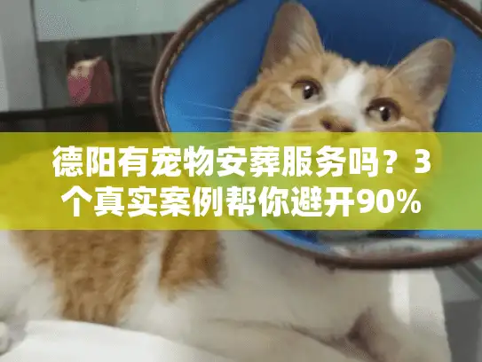 德阳有宠物安葬服务吗？3个真实案例帮你避开90%的坑