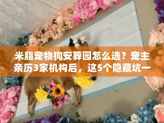 米脂宠物狗安葬园怎么选？宠主亲历3家机构后，这5个隐藏坑一定要避开！