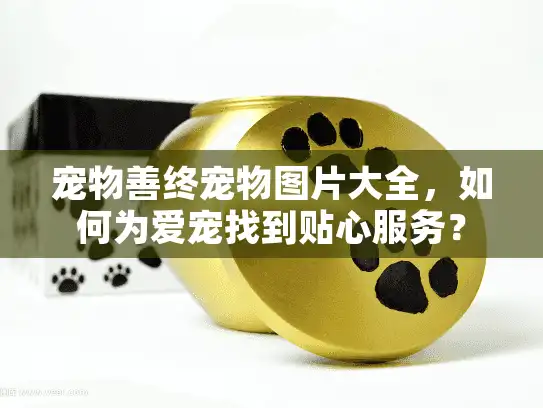 宠物善终宠物图片大全，如何为爱宠找到贴心服务？