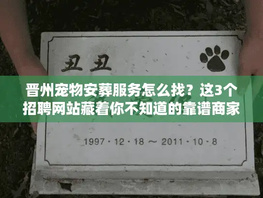 晋州宠物安葬服务怎么找？这3个招聘网站藏着你不知道的靠谱商家！