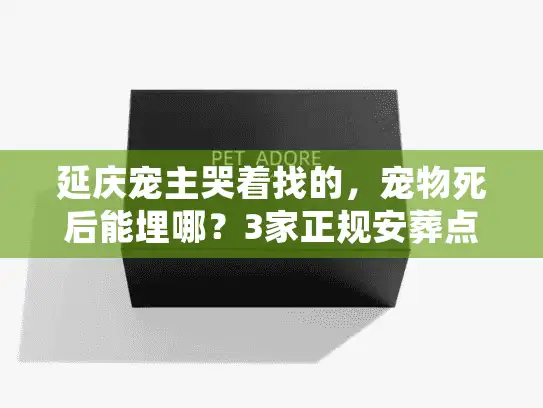 延庆宠主哭着找的，宠物死后能埋哪？3家正规安葬点+避坑实录