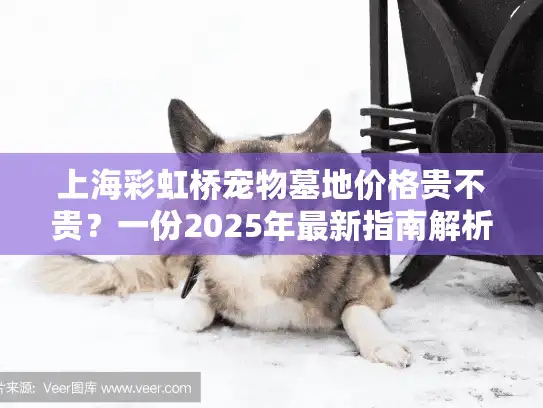 上海彩虹桥宠物墓地价格贵不贵？一份2025年最新指南解析