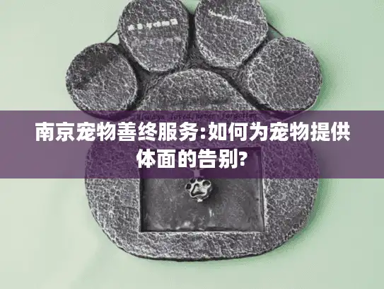 南京宠物善终服务:如何为宠物提供体面的告别?