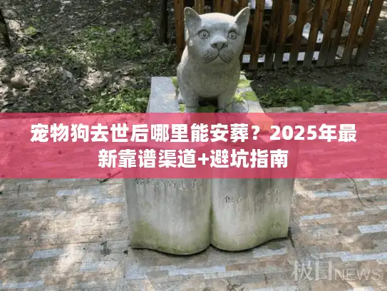 宠物狗去世后哪里能安葬？2025年最新靠谱渠道+避坑指南