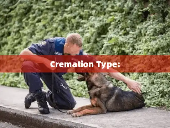 Cremation Type: