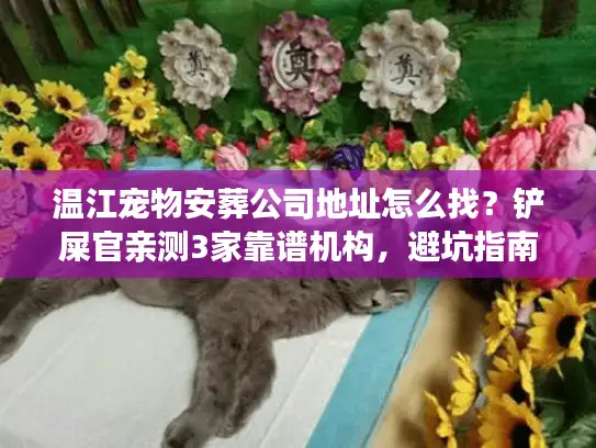 温江宠物安葬公司地址怎么找？铲屎官亲测3家靠谱机构，避坑指南全在这
