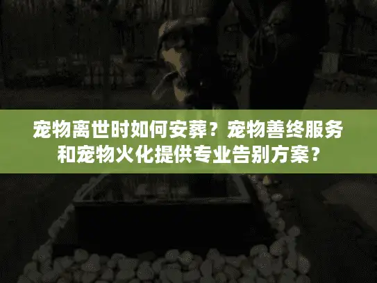 宠物离世时如何安葬？宠物善终服务和宠物火化提供专业告别方案？