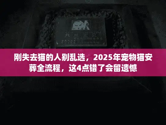 刚失去猫的人别乱选，2025年宠物猫安葬全流程，这4点错了会留遗憾