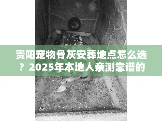 贵阳宠物骨灰安葬地点怎么选？2025年本地人亲测靠谱的3类选址+避坑清单