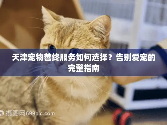 天津宠物善终服务如何选择？告别爱宠的完整指南
