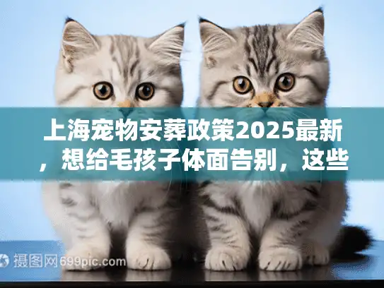 上海宠物安葬政策2025最新，想给毛孩子体面告别，这些红线千万不能碰？