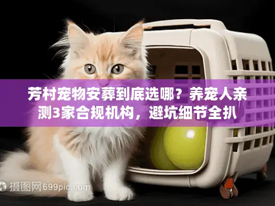 芳村宠物安葬到底选哪？养宠人亲测3家合规机构，避坑细节全扒