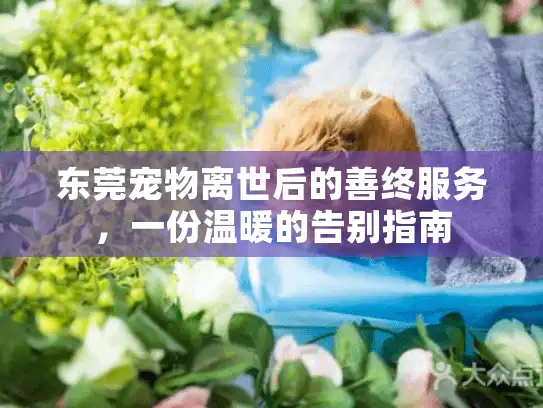 东莞宠物离世后的善终服务，一份温暖的告别指南