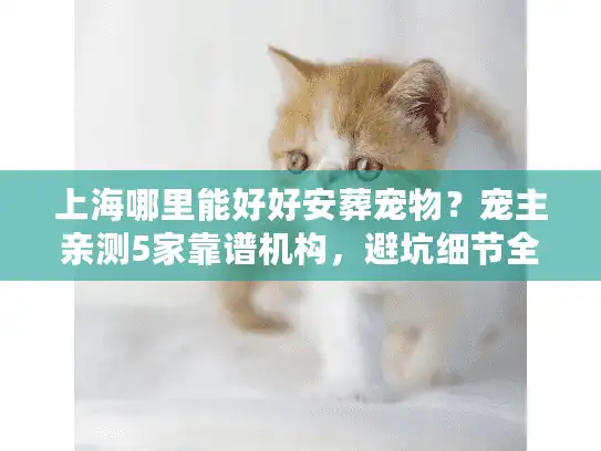 上海哪里能好好安葬宠物？宠主亲测5家靠谱机构，避坑细节全说透