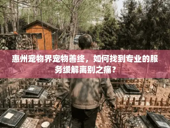 惠州宠物界宠物善终，如何找到专业的服务缓解离别之痛？