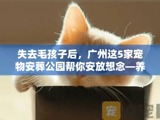 失去毛孩子后，广州这5家宠物安葬公园帮你安放想念—养宠人亲测靠谱