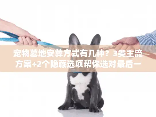宠物墓地安葬方式有几种？3类主流方案+2个隐藏选项帮你选对最后一程