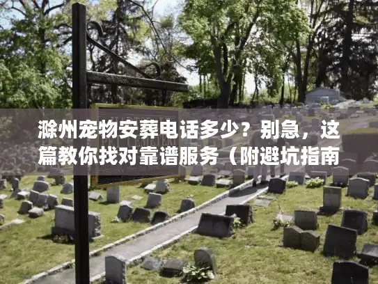 滁州宠物安葬电话多少？别急，这篇教你找对靠谱服务（附避坑指南）