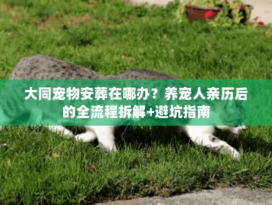 大同宠物安葬在哪办？养宠人亲历后的全流程拆解+避坑指南