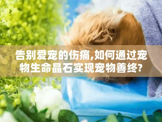 告别爱宠的伤痛,如何通过宠物生命晶石实现宠物善终?