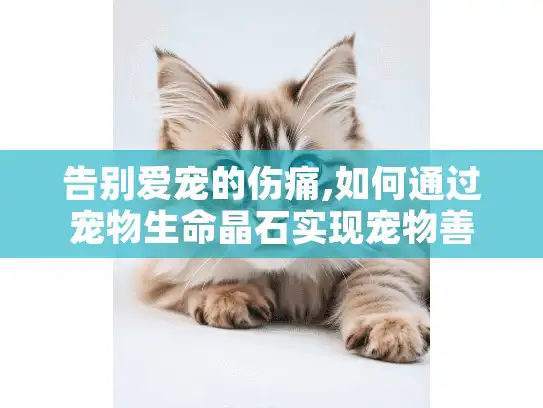 告别爱宠的伤痛,如何通过宠物生命晶石实现宠物善终?
