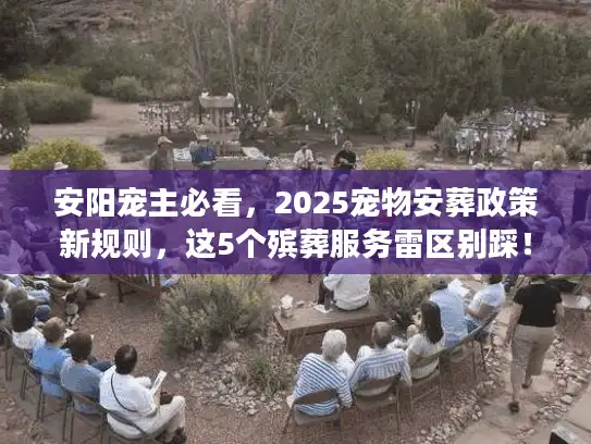 安阳宠主必看，2025宠物安葬政策新规则，这5个殡葬服务雷区别踩！