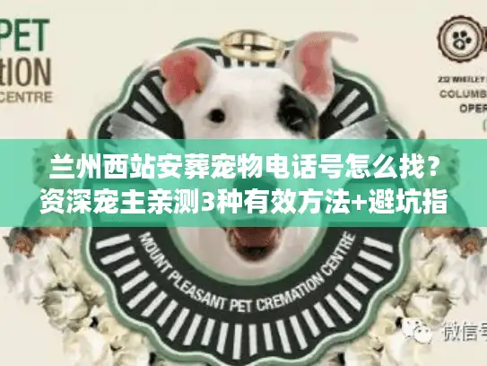 兰州西站安葬宠物电话号怎么找？资深宠主亲测3种有效方法+避坑指南