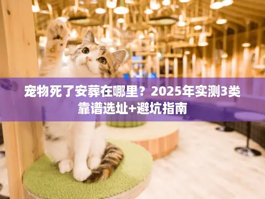 宠物死了安葬在哪里？2025年实测3类靠谱选址+避坑指南