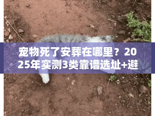 宠物死了安葬在哪里？2025年实测3类靠谱选址+避坑指南
