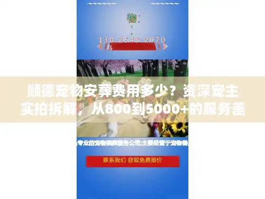 顺德宠物安葬费用多少？资深宠主实拍拆解，从800到5000+的服务差异到底在哪？