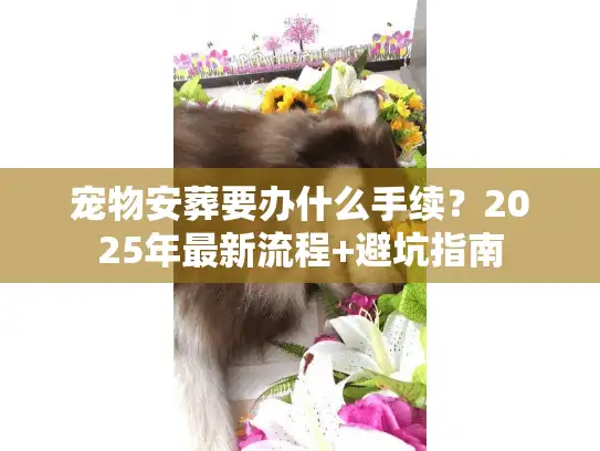 宠物安葬要办什么手续？2025年最新流程+避坑指南