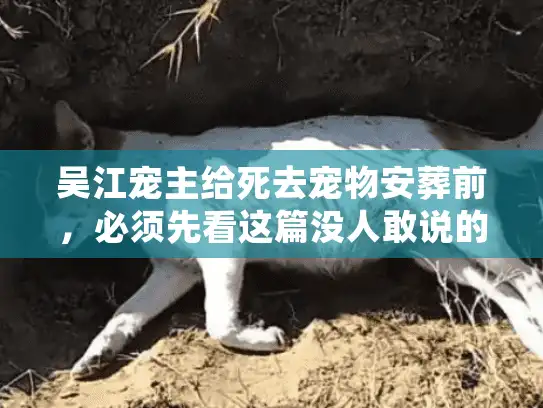 吴江宠主给死去宠物安葬前，必须先看这篇没人敢说的行业内情
