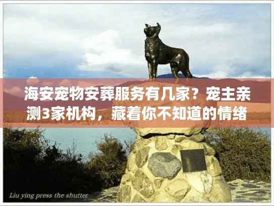 海安宠物安葬服务有几家？宠主亲测3家机构，藏着你不知道的情绪消费陷阱