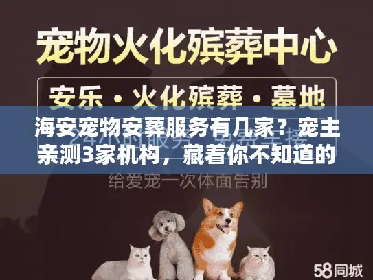 海安宠物安葬服务有几家？宠主亲测3家机构，藏着你不知道的情绪消费陷阱