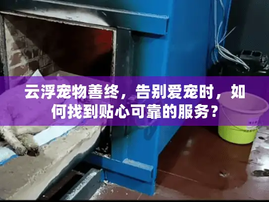 云浮宠物善终，告别爱宠时，如何找到贴心可靠的服务？