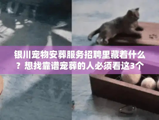 银川宠物安葬服务招聘里藏着什么？想找靠谱宠葬的人必须看这3个门道