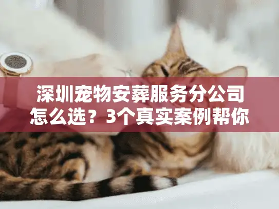 深圳宠物安葬服务分公司怎么选？3个真实案例帮你避开90%的坑