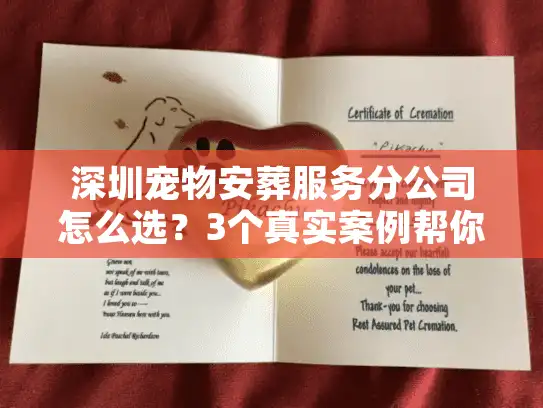 深圳宠物安葬服务分公司怎么选？3个真实案例帮你避开90%的坑