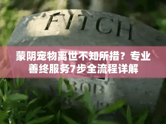 蒙阴宠物离世不知所措？专业善终服务7步全流程详解