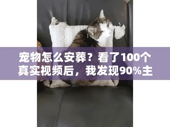 宠物怎么安葬？看了100个真实视频后，我发现90%主人都踩过的3个坑