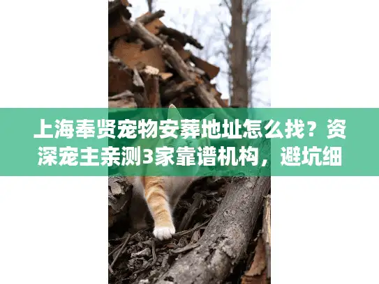 上海奉贤宠物安葬地址怎么找？资深宠主亲测3家靠谱机构，避坑细节全公开