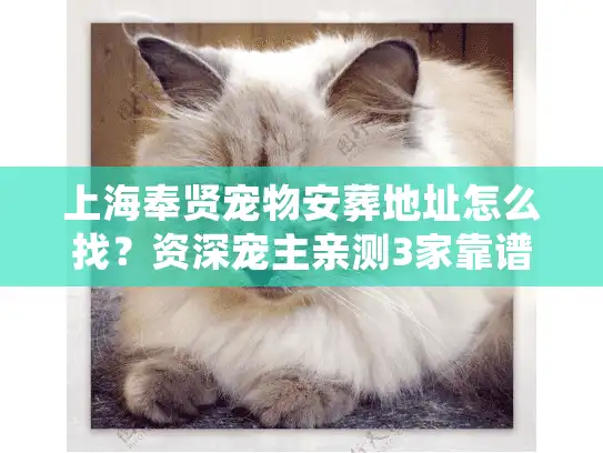 上海奉贤宠物安葬地址怎么找？资深宠主亲测3家靠谱机构，避坑细节全公开