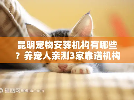 昆明宠物安葬机构有哪些？养宠人亲测3家靠谱机构+避坑指南