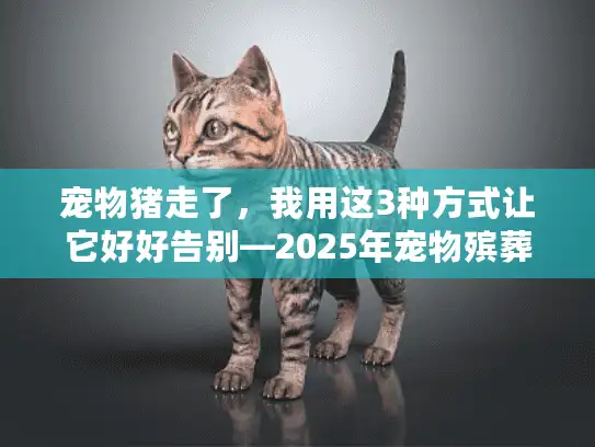 宠物猪走了，我用这3种方式让它好好告别—2025年宠物殡葬最新实操