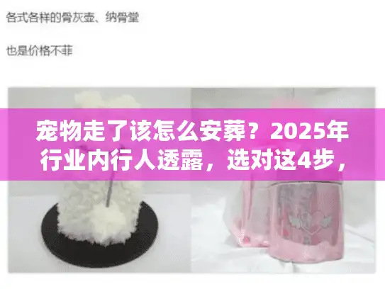 宠物走了该怎么安葬？2025年行业内行人透露，选对这4步，才是对它最后的温柔
