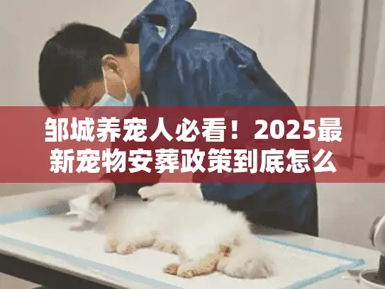 邹城养宠人必看！2025最新宠物安葬政策到底怎么定？这些红线碰了要吃亏
